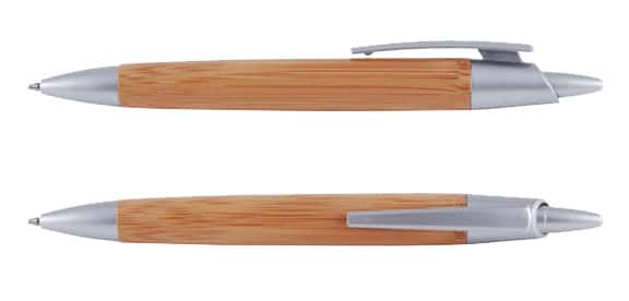 The Bamboo pen