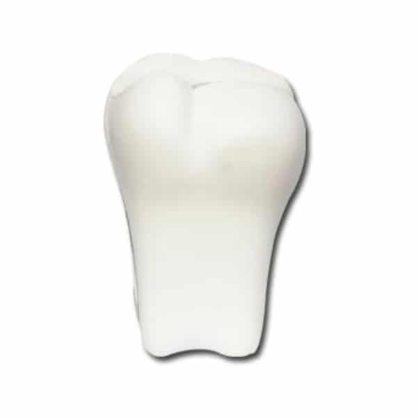 Tooth S43